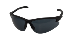 Очки защитные затемненные Оберон